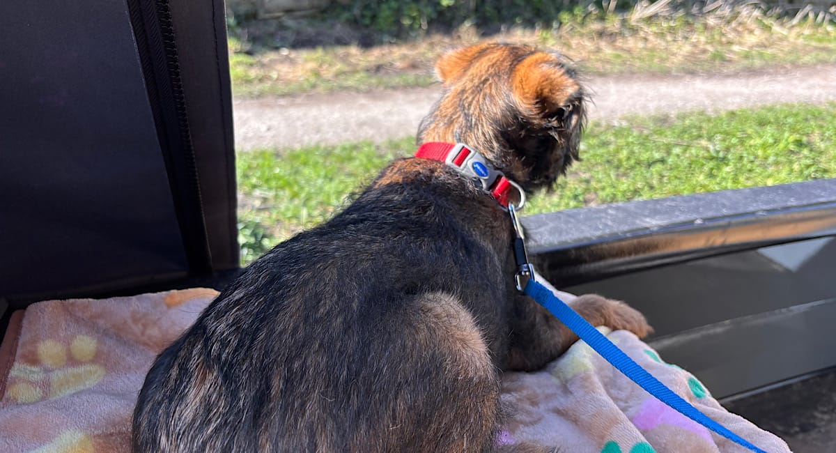 Tuesday means Bollington