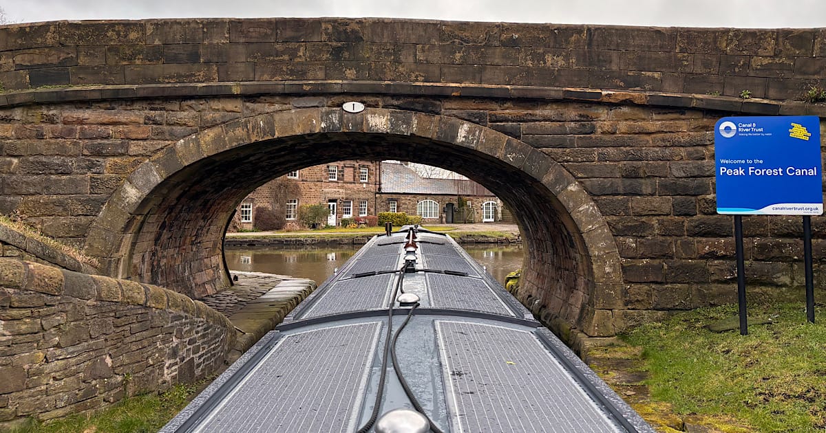 Onto the Peak Forest
