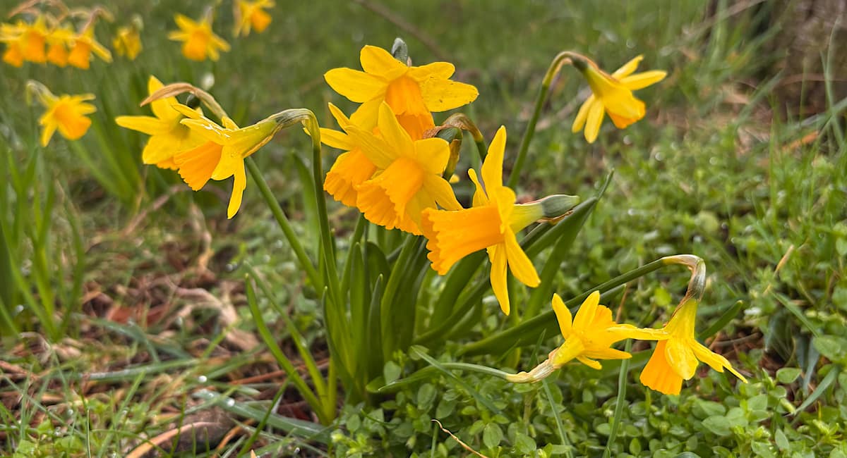 Last day of February