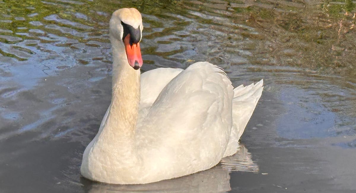 First real trip: Day 32