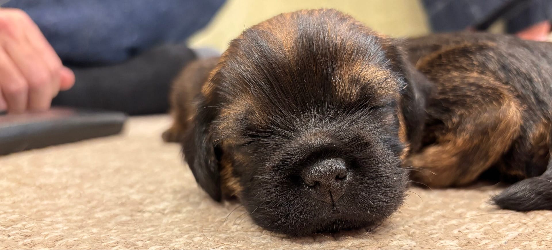 Meeting Macc — and a look round Heybridge Basin